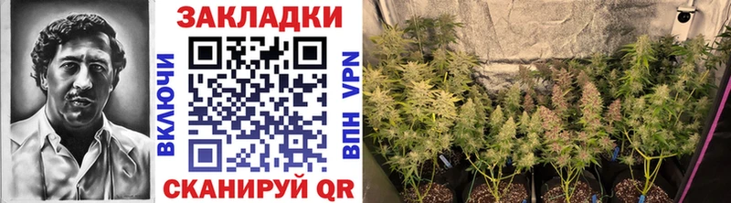 Что такое Майкоп Гашиш СК Меф мяу мяу Кетамин МАРИХУАНА