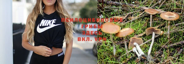 мескалин Ельня
