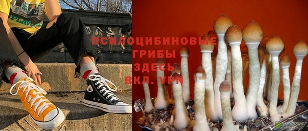 mdma Дмитров