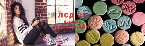 мескалин Ельня