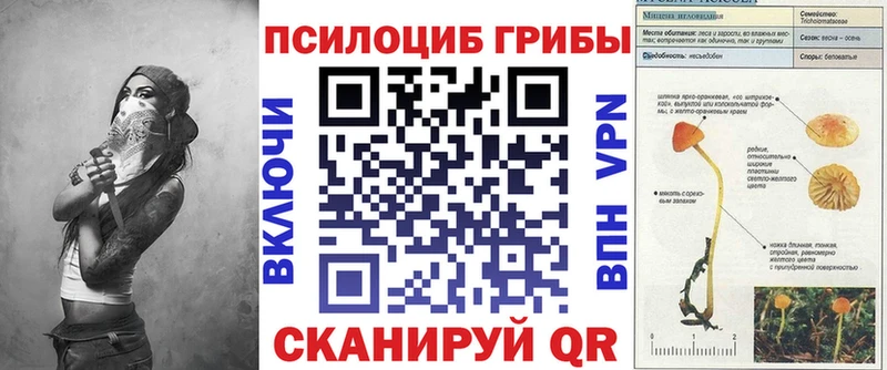 закладки  Майкоп  Галлюциногенные грибы GOLDEN TEACHER 